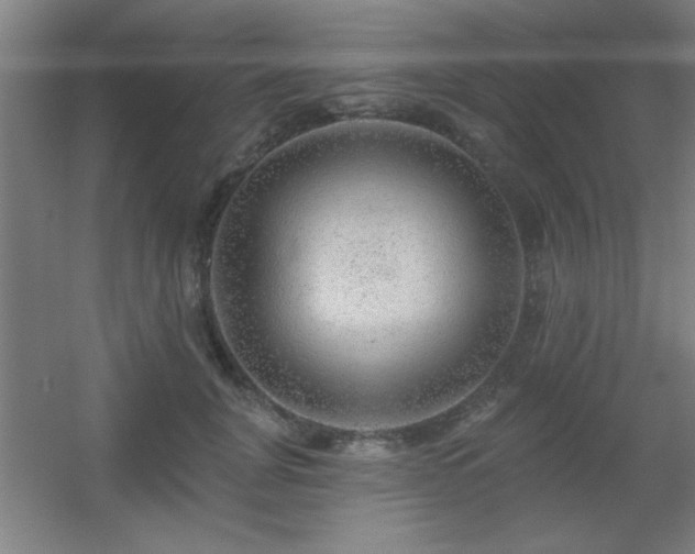 X0000055990751200508221256