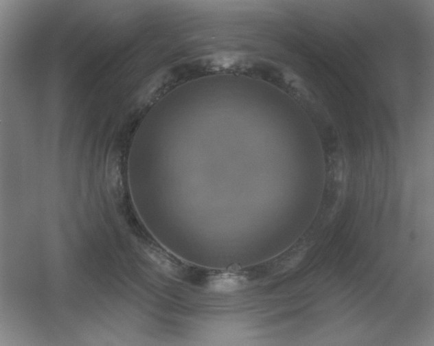 X0000055990754200508221256