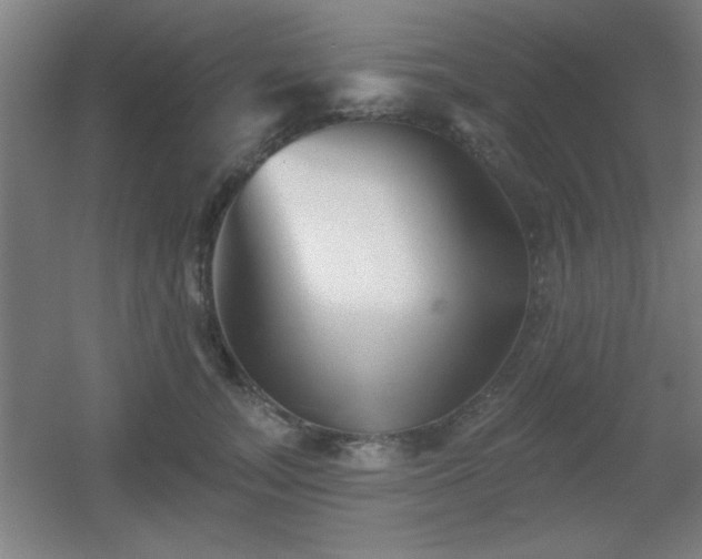X0000055990755200508221256