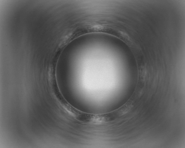 X0000055990760200508221256
