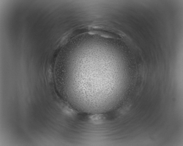X0000055990761200508221256