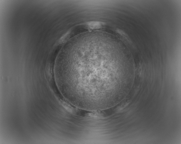 X0000055990763200508221256