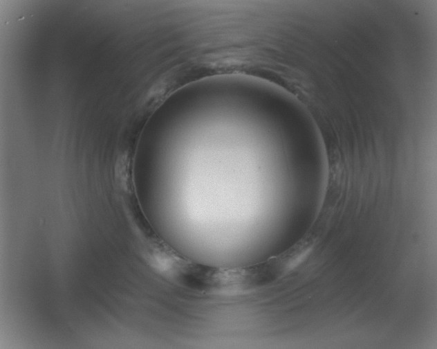 X0000055990767200508221256