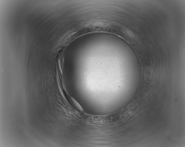 X0000055990774200508221255