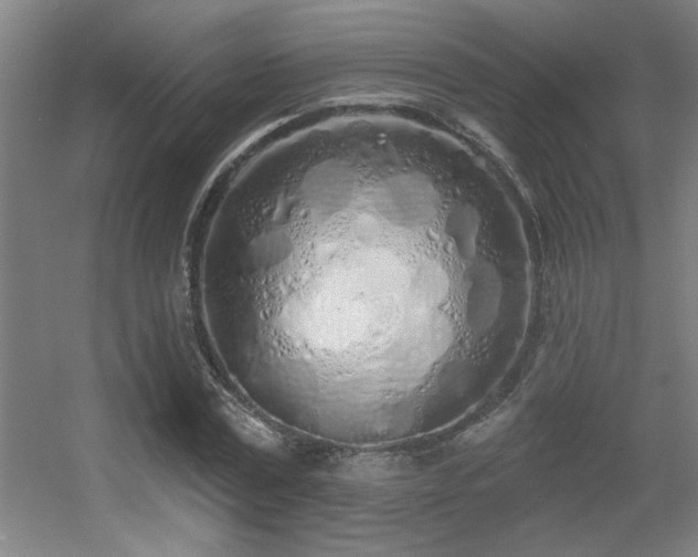 X0000055990779200508221255