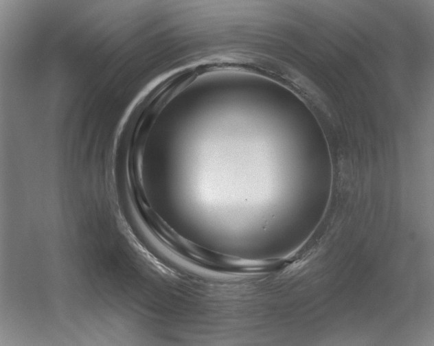 X0000055990784200508221255