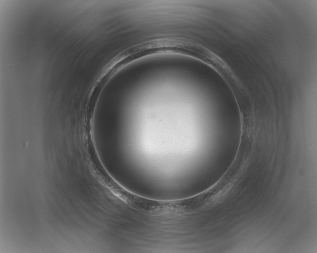 X0000055990786200508221255