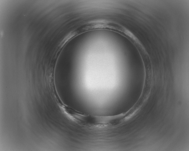 X0000055990801200508221255