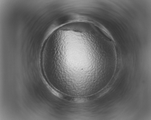 X0000055990803200508221255