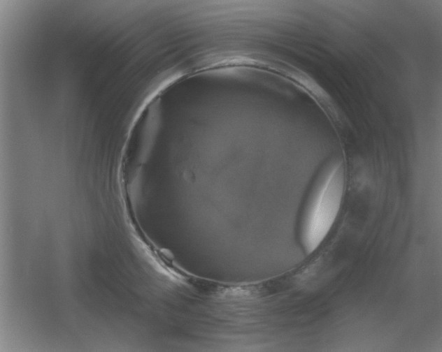 X0000055990806200508221255