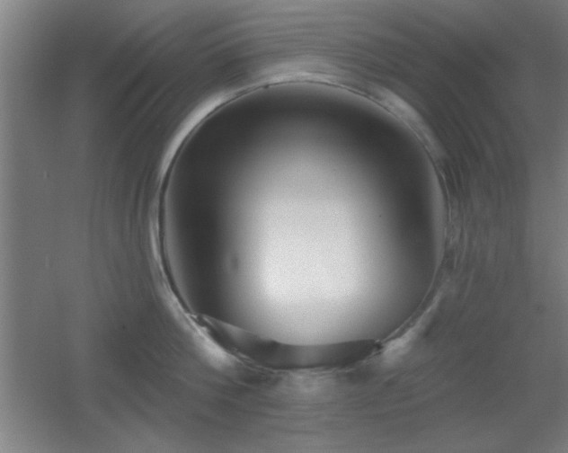 X0000055990812200508221255