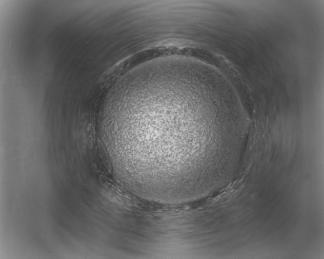 X0000055990821200508221254