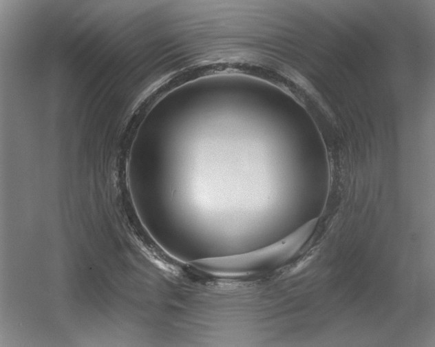 X0000055990826200508221254