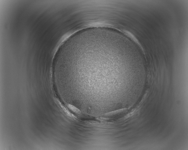 X0000055990831200508221254