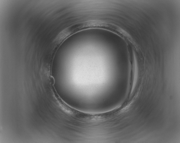 X0000055990841200508221254