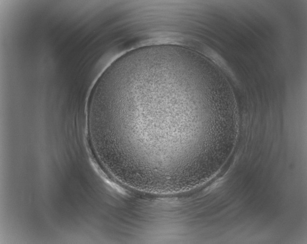 X0000055990844200508221254