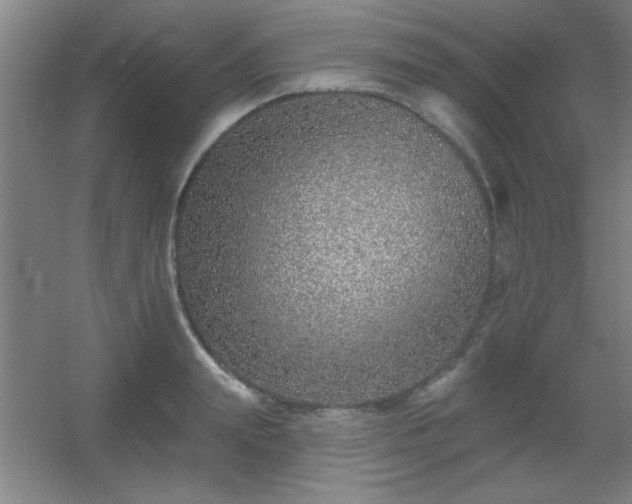 X0000055990847200508221254