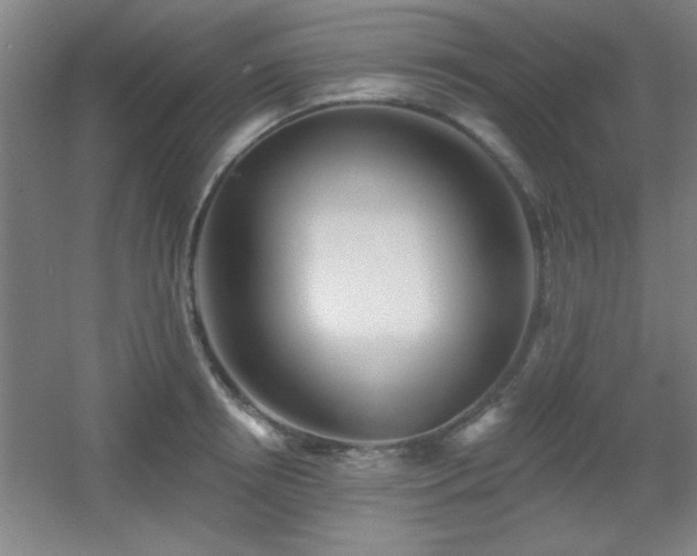 X0000055990850200508221255
