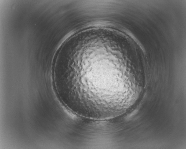 X0000055990853200508221255