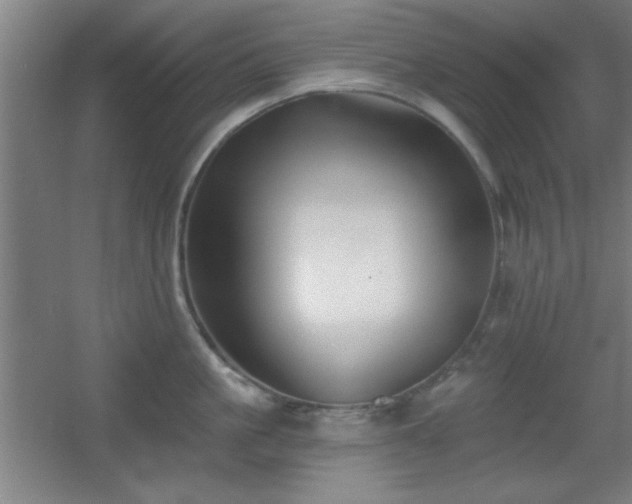 X0000055990861200508221255