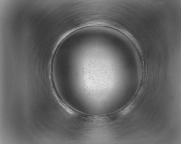 X0000055990862200508221255