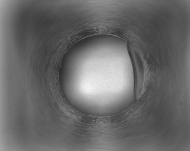 X0000055990865200508221254