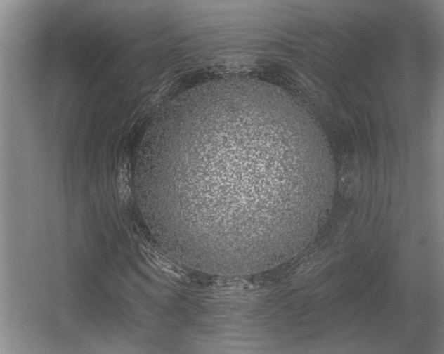 X0000055990866200508221254
