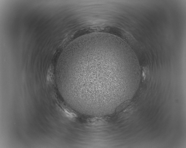 X0000055990867200508221254