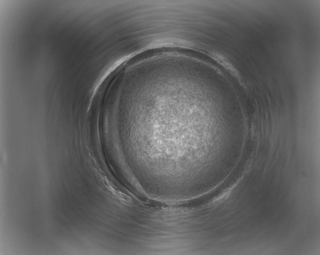 X0000055990877200508221254