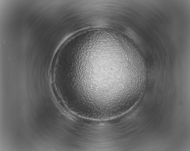 X0000055990891200508221253