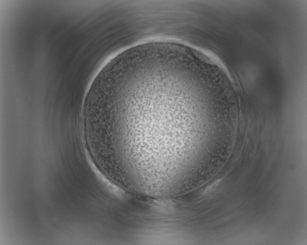 X0000055990911200508221253