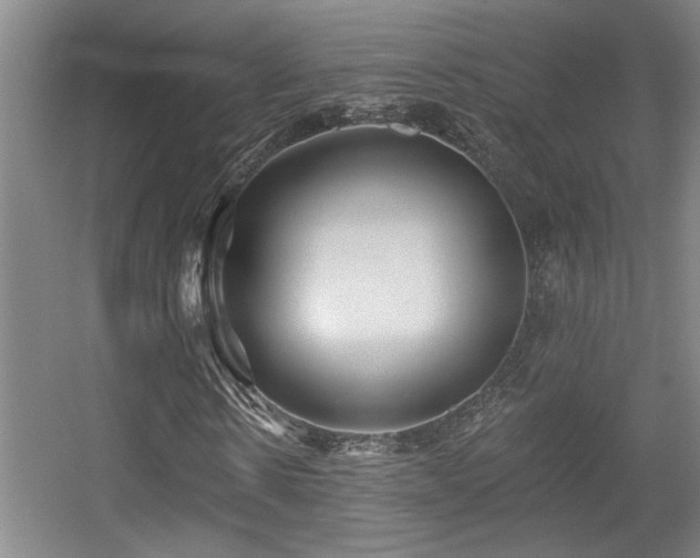 X0000055990914200508221252