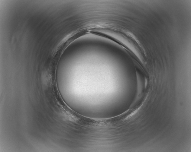 X0000055990922200508221252