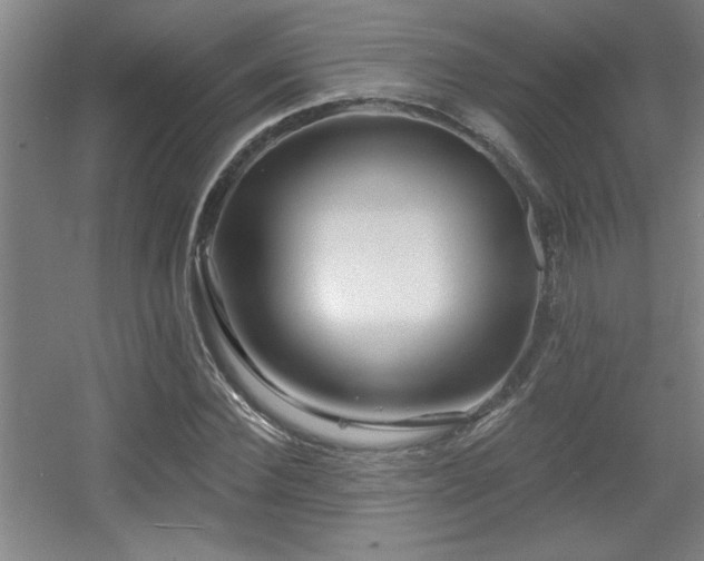 X0000055990924200508221252