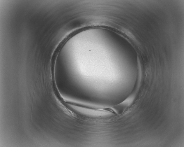 X0000055990934200508221253