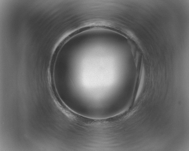 X0000055990936200508221253