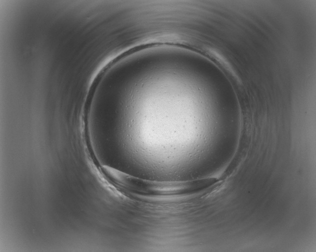 X0000055990944200508221253