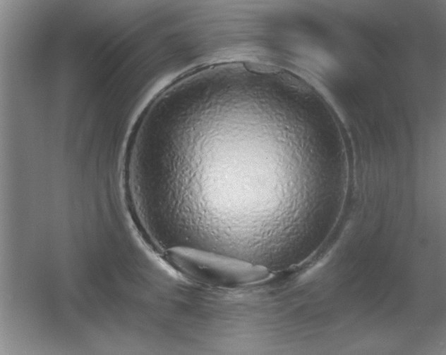 X0000055990949200508221253