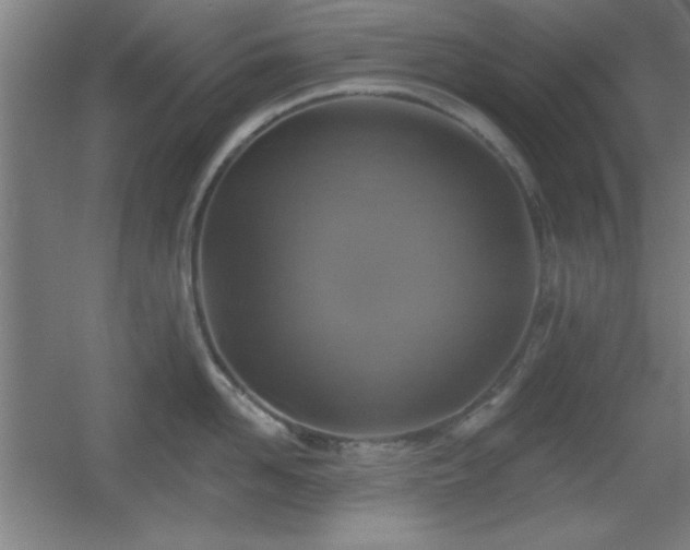 X0000055990958200508221253