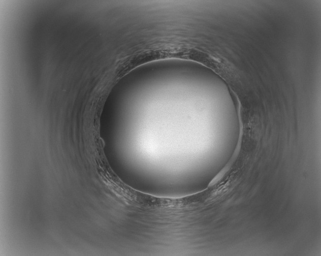 X0000055990961200508221252