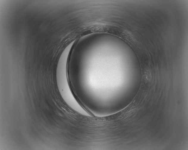 X0000055990964200508221252