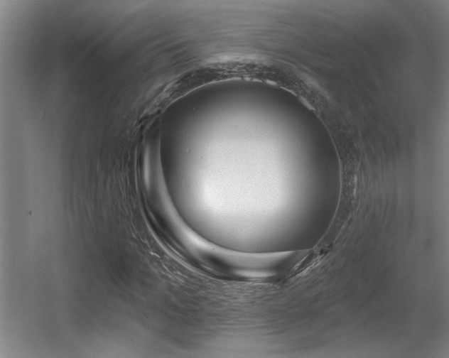 X0000055990965200508221252