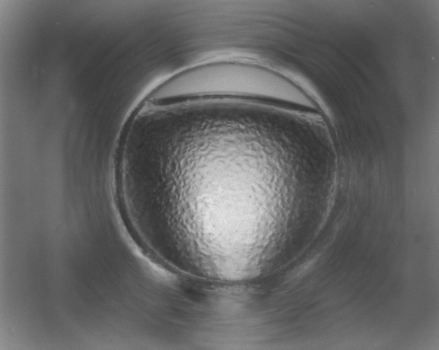 X0000055990999200508221252