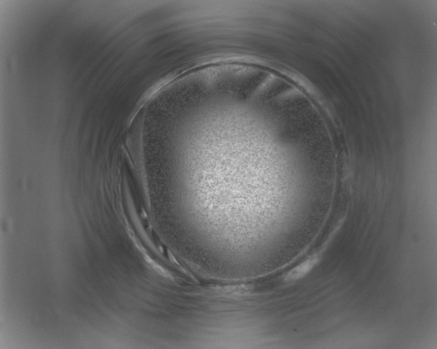X0000055991001200508221252