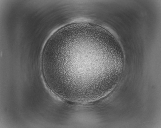 X0000055991008200508221251