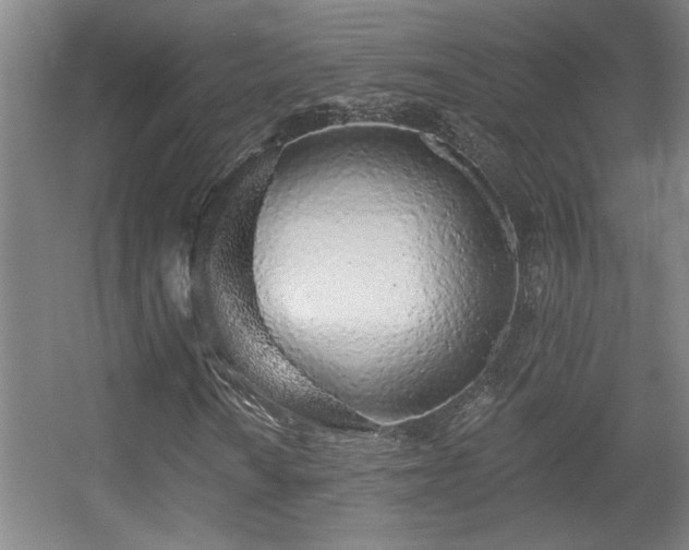 X0000055991010200508221251