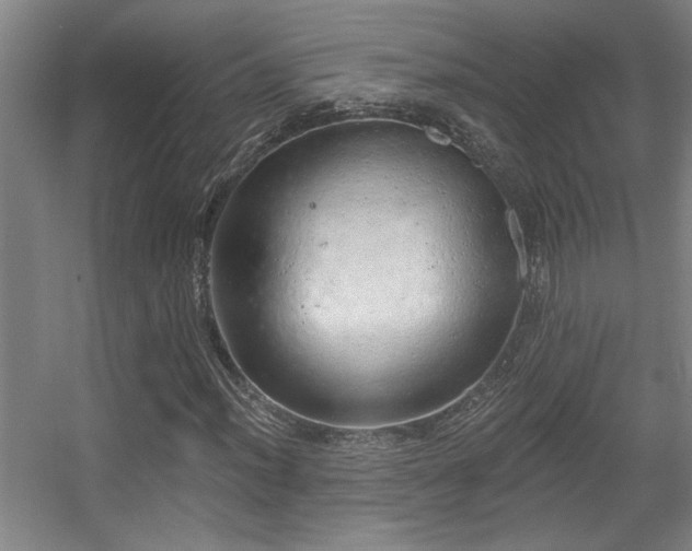 X0000055991012200508221251