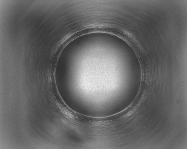 X0000055991017200508221251