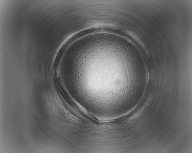 X0000055991021200508221251