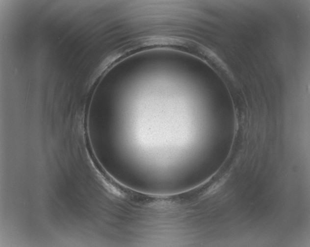 X0000055991033200508221251